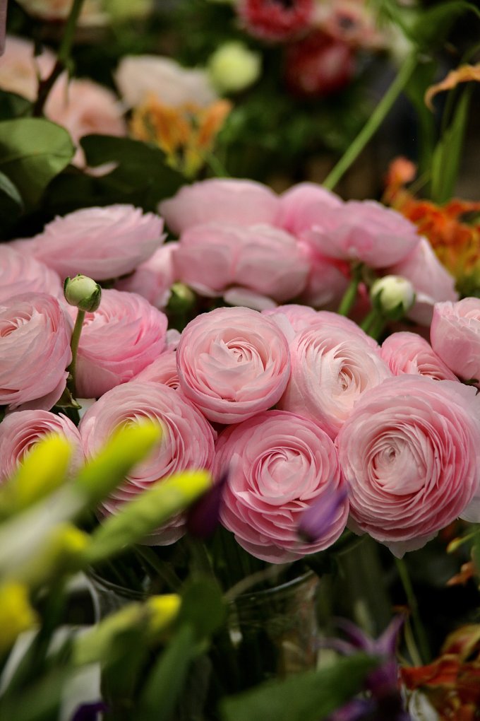 Douceur et couleurs photo 9